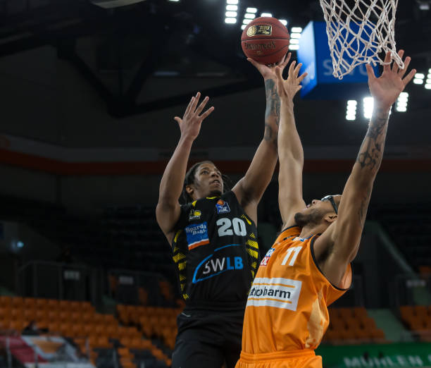 定性和组织 定性和组织