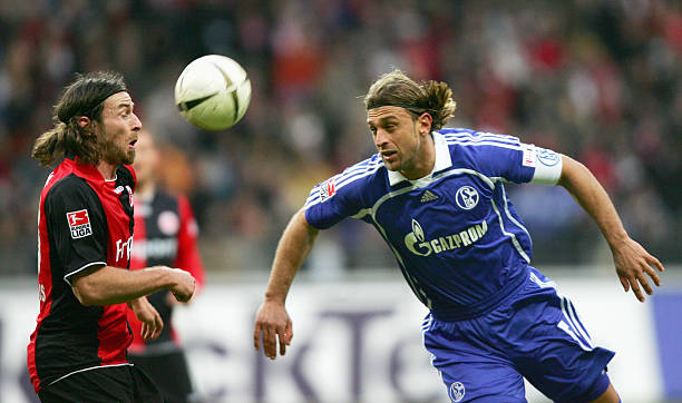 楚地表明 楚地表明