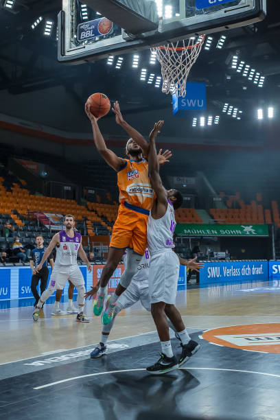 乌的热情浇 乌的热情浇